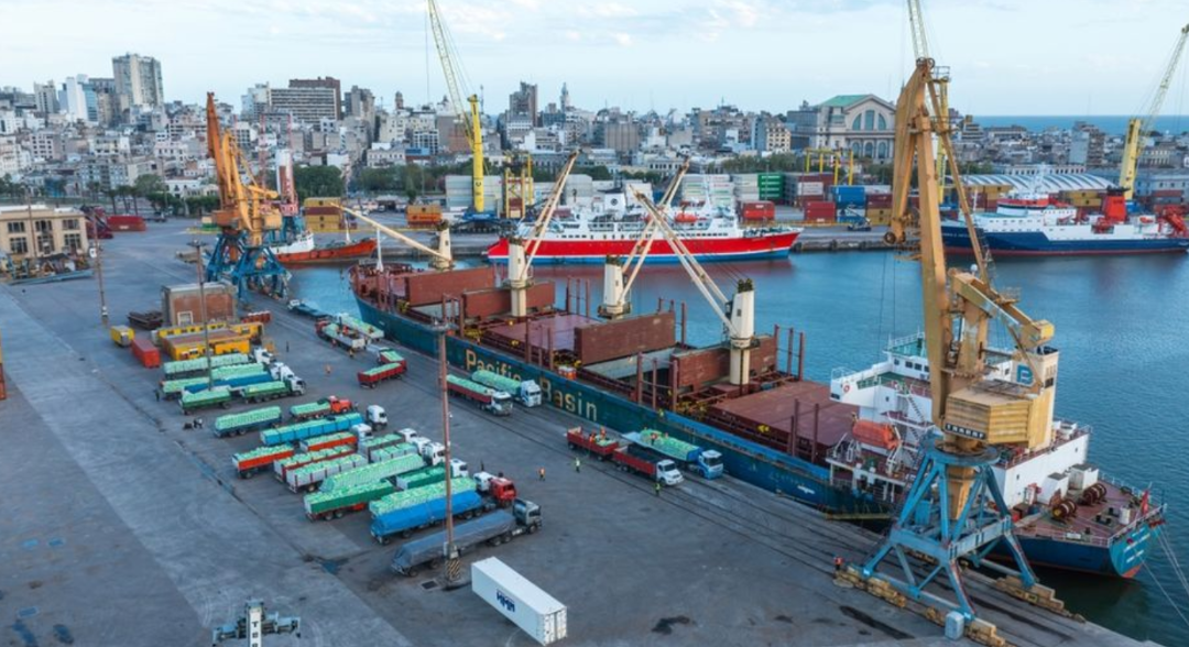 US$600 Million Claim Wiped Out! Major Reversal in Port Operating Rights Dispute