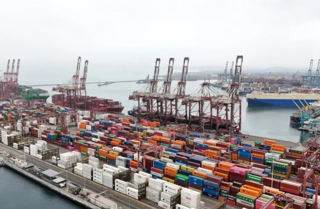 USD 844 Million! Multi-National Investors Vie for This Port Terminal Project