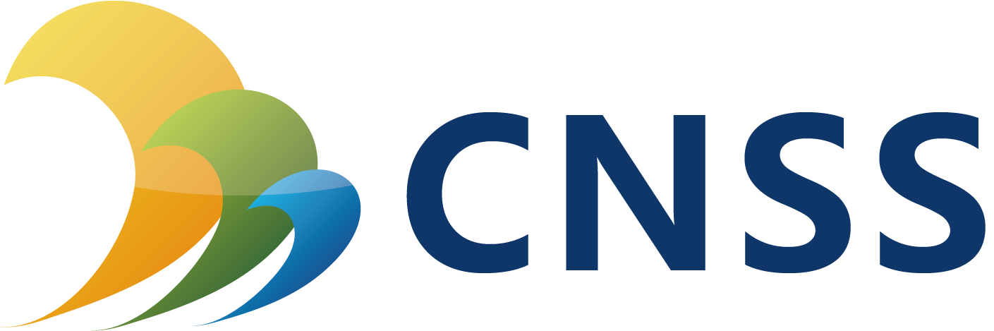 China Shipping Services Network